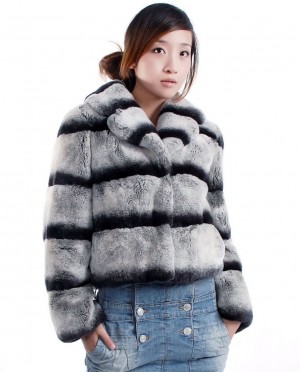Rex Rabbit fur Jacket with Chinchilla Look