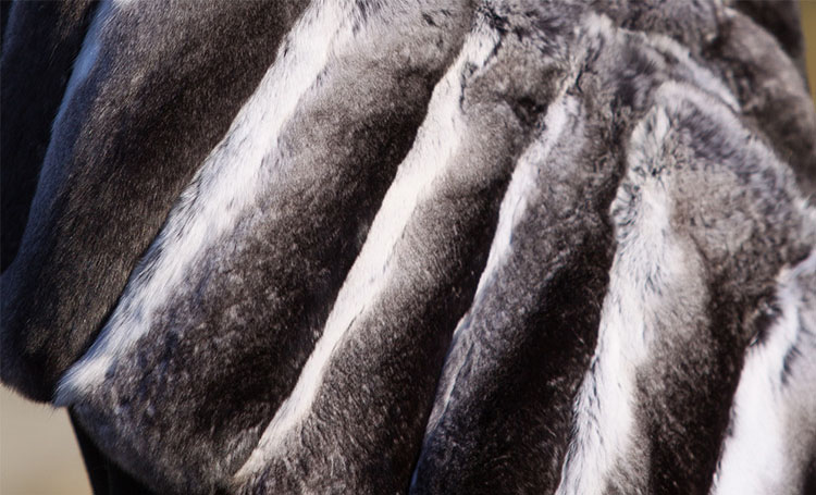 Chinchilla Fur Shawl, Cape Stole 675 Deatails 1