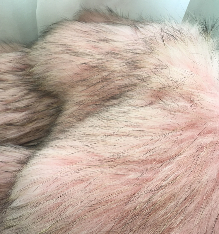 Wide Lapel Knitted Raccoon Fur Jacket 314-7